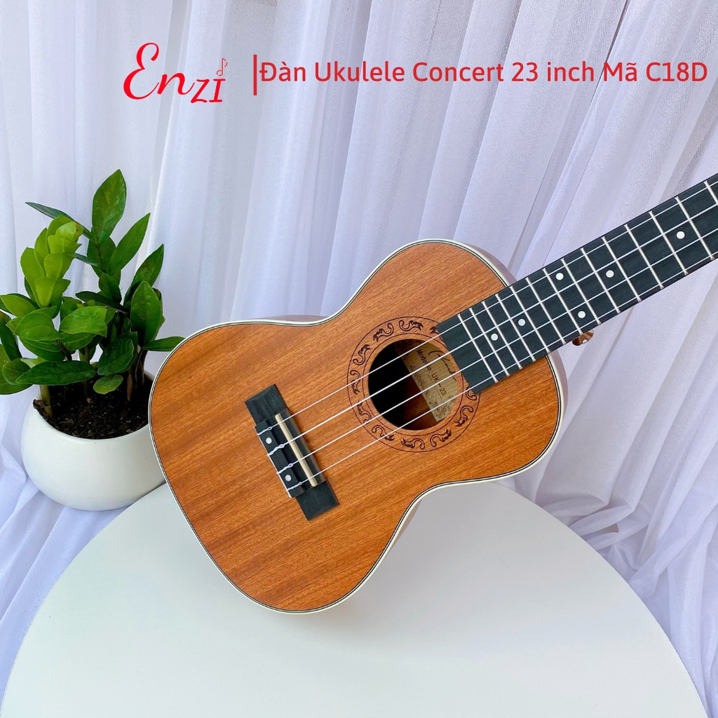 Đàn ukulele concert C18D Enzi 23 inch gỗ mộc viền tròn khóa đúc giá rẻ cho bạn mới bắt đầu tập chơi