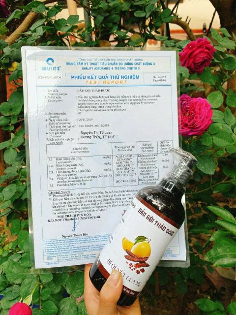 Dầu gội bồ kết thảo dược cô đặc nhà nấu thủ công | BigBuy360 - bigbuy360.vn