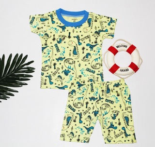 Set đồ bộ Carter bé trai