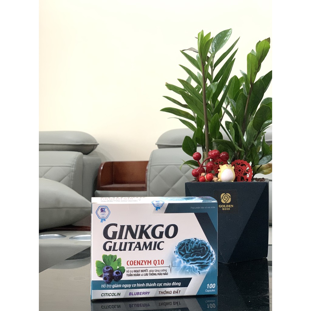 Viên uống bổ não, hoạt huyết, dưỡng não, tăng cường trí nhớ - GINKGO GLUTAMIC hộp 100 viên