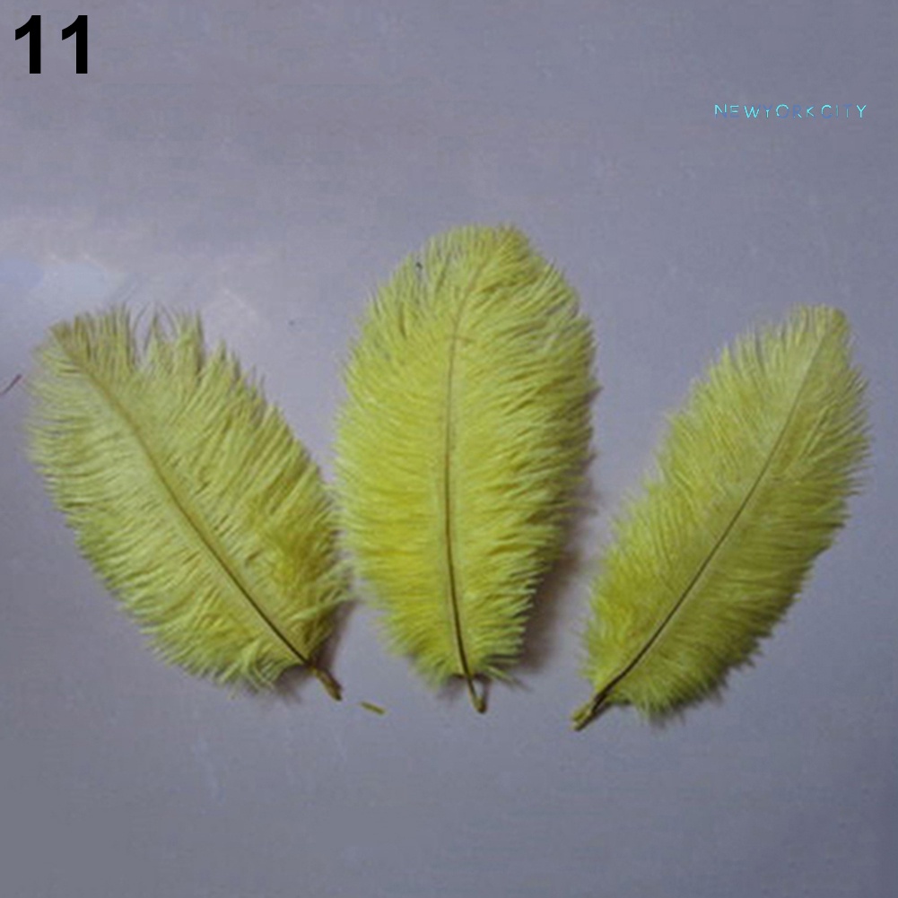 15 Lông Đà Điểu Tự Nhiên Mềm Mại Nhiều Màu Sắc Dùng Trang Trí Tiệc Cưới