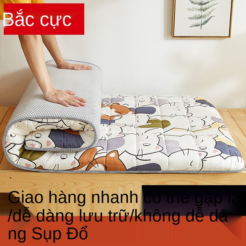 Nệm sinh viên ký túc xá giường đặc biệt bọc theo mùa đệm bọt biển sàn ngủ chiếu đơn tatami