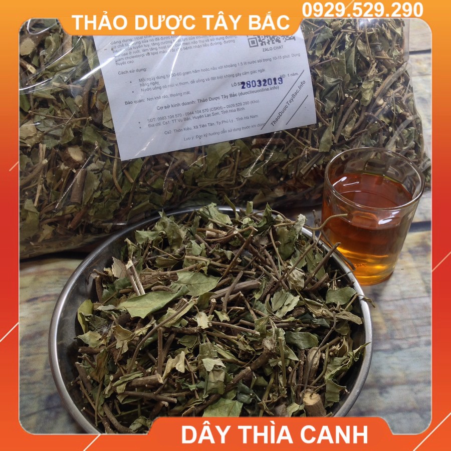 Thảo Dược Dây Thìa Canh [🌿THAOD20K🌿 Giảm Ngay 20K] Lá Thìa Canh, Cây Thìa Canh, Bán Dây Thìa Canh Khô