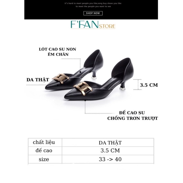 Giày nữ cao gót mũi nhọn  mềm mại, bít mũi đế nhọn 3 phân đính đá 315g22 màu đen trắng big size FFAN STORE