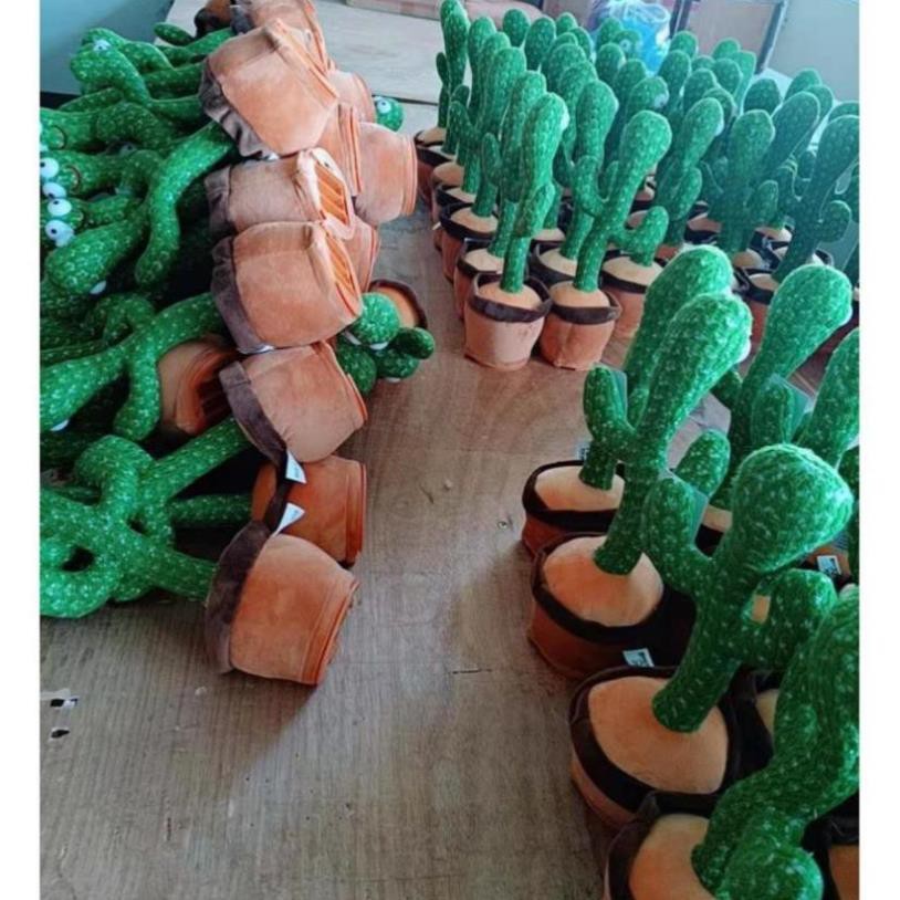 Cây Xương Rồng Nhồi Bông Nhảy Múa Vui Nhộn Cho Bé