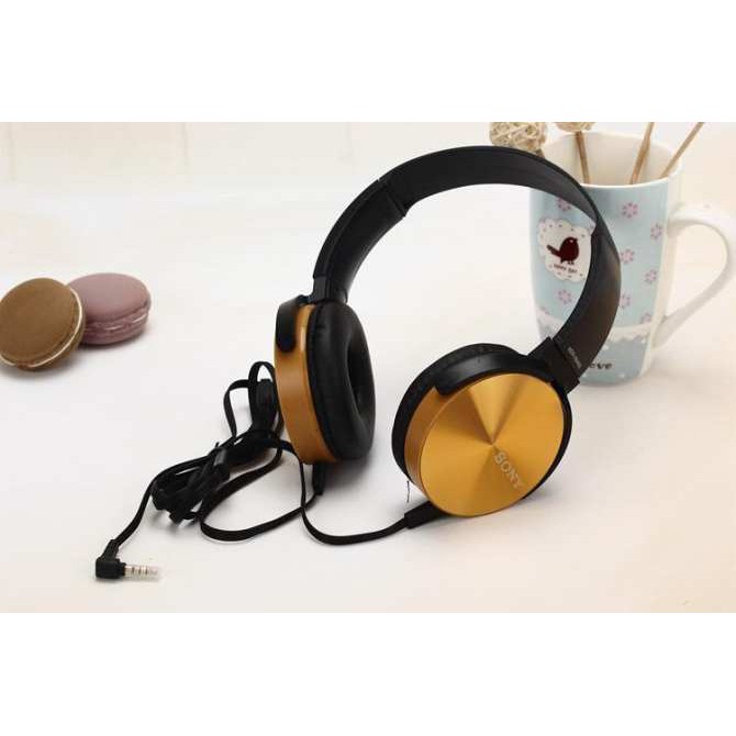 Tai nghe headphone có mic XB450