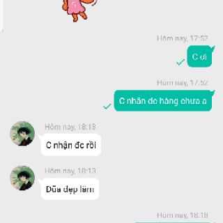 Đũa Nhật Shikisai