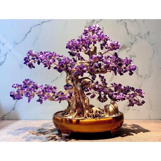 Cây tài lộc bonsai phong thủy đá ta. tím - cao 40 cm