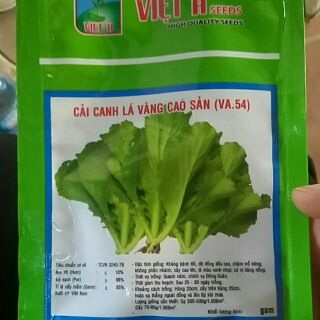 20g Hạt giống cải canh lá vàng cao sản