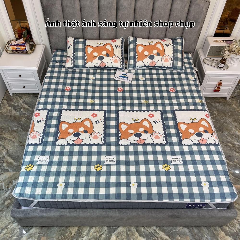 Chiếu Điều Hòa Caosu Non Latex Cao Cấp, hàng nhập khẩu trực tiếp siêu mềm mịn, mát