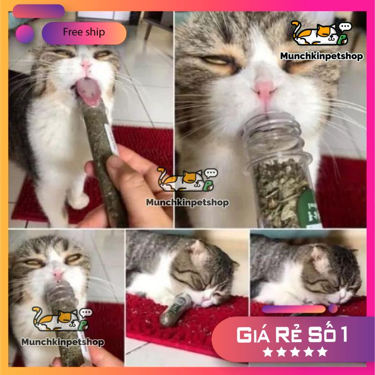 Cỏ mèo, cỏ bạc hà khô, CATNIP thư giãn cho mèo