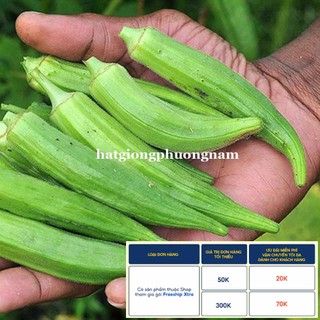 20GR - HẠT GIỐNG ĐẬU BẮP