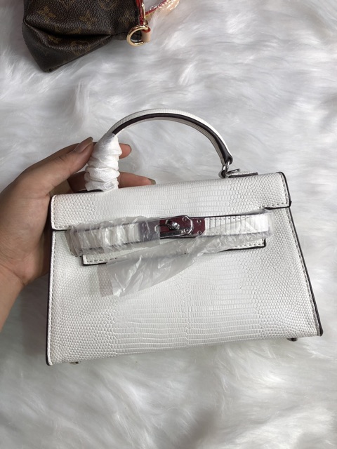 Túi da kỳ nhông size 19