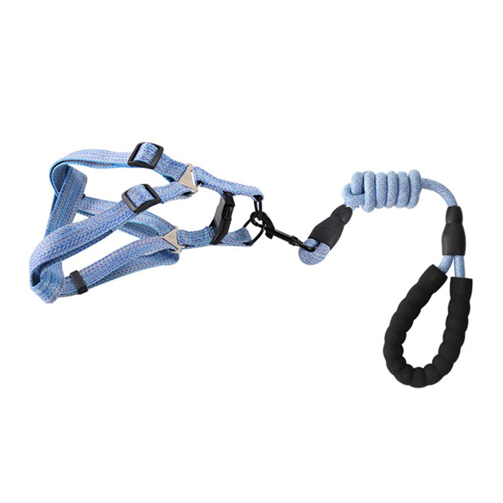 Dây dắt thú cưng đi dạo tiện lợi 120cm