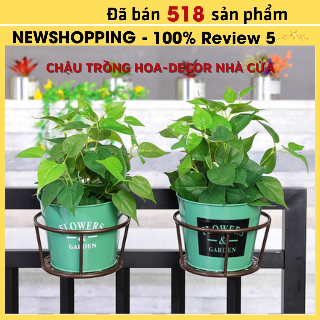 Chậu sắt trồng hoa trang trí, xô cắm hoa bằng thiếc