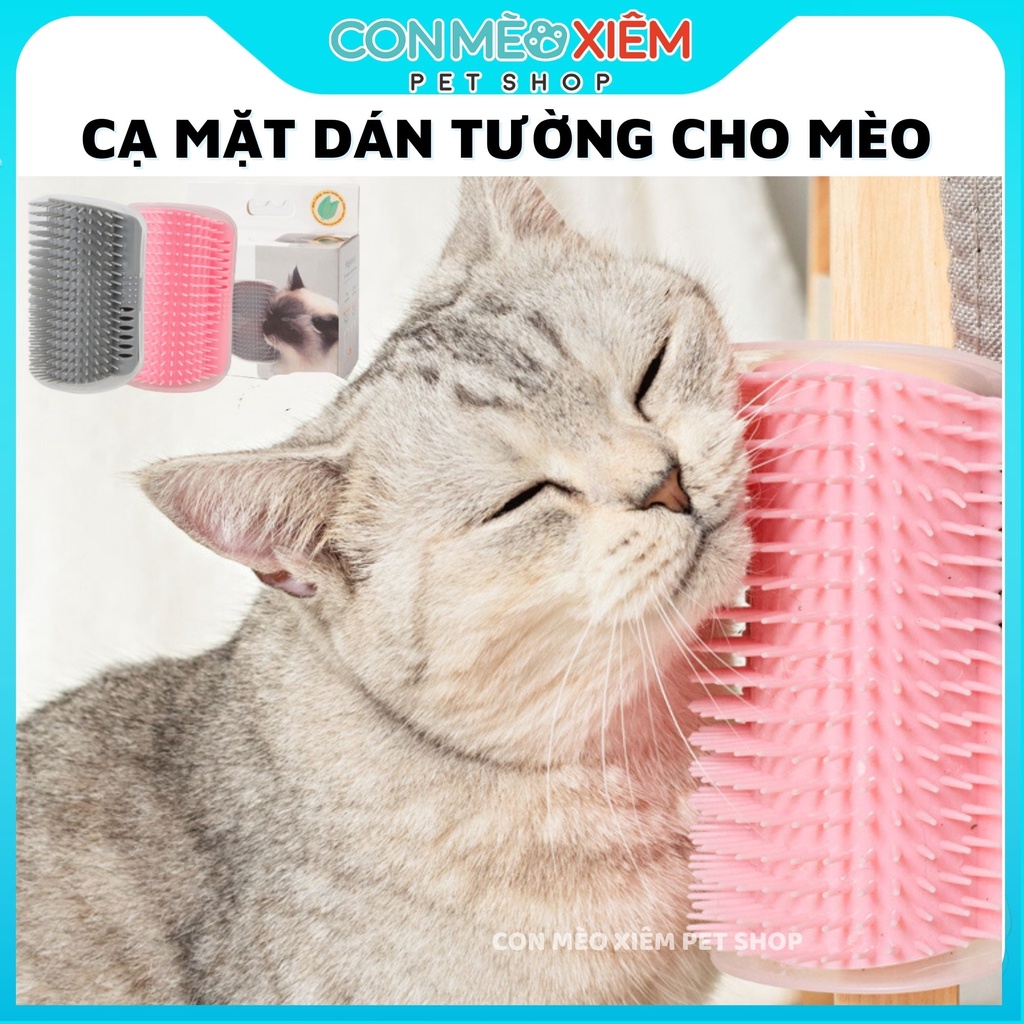 Đồ chơi cho mèo cạ mặt gãi ngứa dán tường cỏ bạc hà catnip thư giãn Con Mèo Xiêm