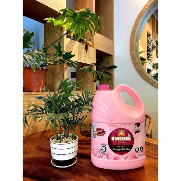 NƯỚC GIẶT XẢ 5in1 SUNNEE