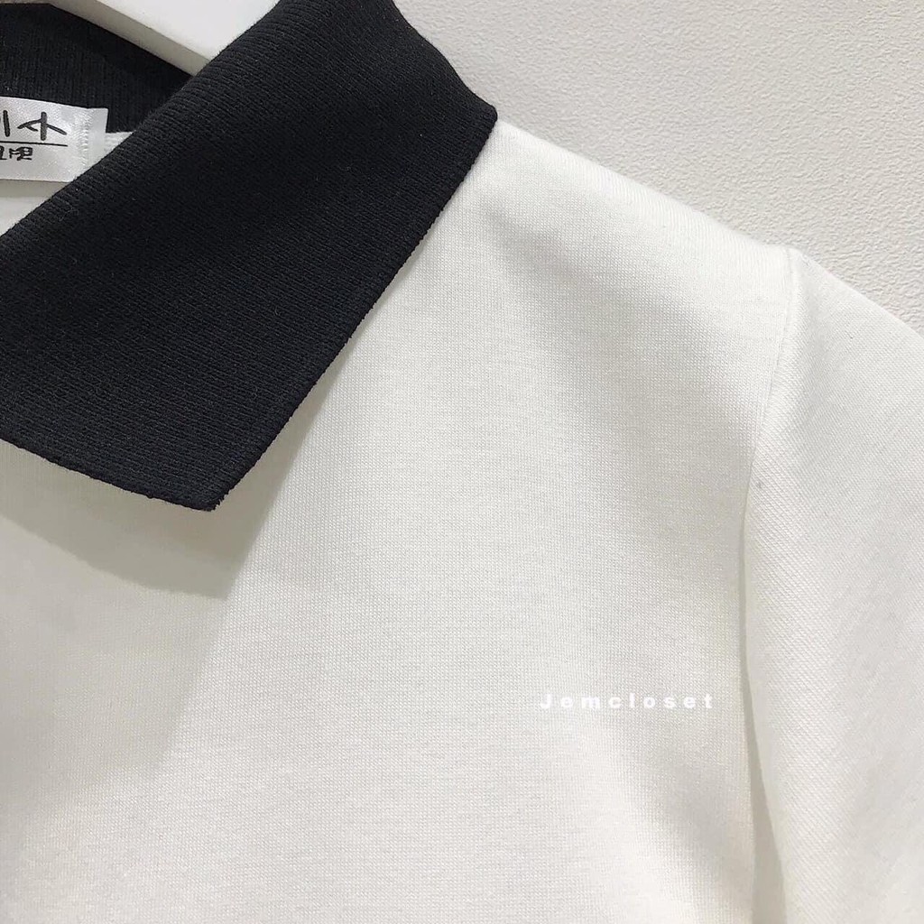 ÁO THUN CROPTOP PETTER PHỐI CỔ🥖