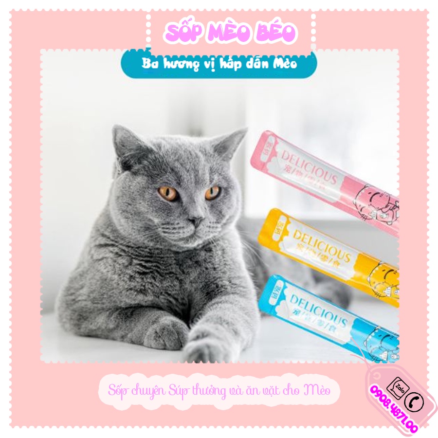 Tuýp súp thưởng cho mèo Delicious vị Bò,Cá ngừ mix gà,Cá hồi dạng lỏng gói lẻ cho Mèo con trên 3 tháng
