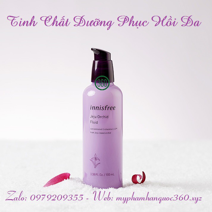 Tinh Chất Dưỡng Phục Hồi Hoa Phong Lan Innisfree Jeju Orchid Fluid 100ml