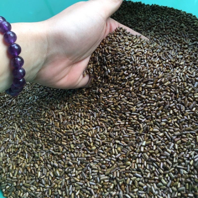 Hạt muồng khô túi 1kg