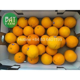 [Hàng giao nhanh trong ngày] Cam vàng Nhập Khẩu Úc