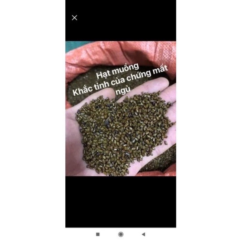 hạt muồng 1 kg