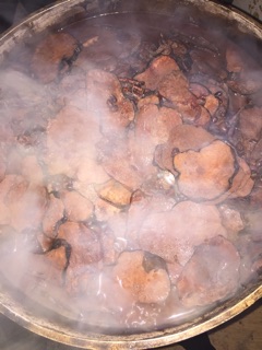 Hà thủ ô đỏ nhà làm 