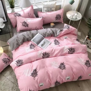 Set Poly cotton nhập khẩu