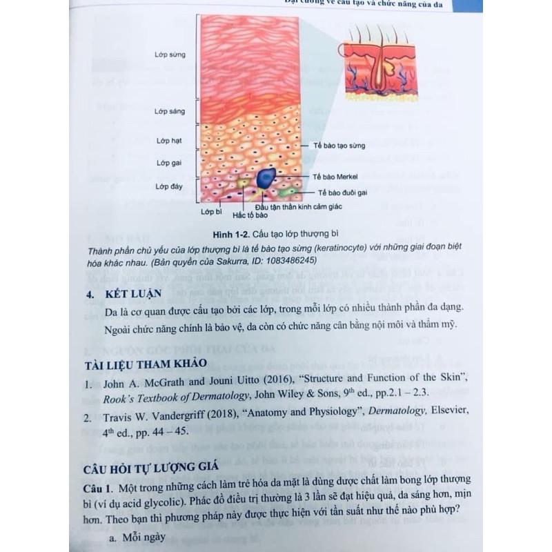 Sách - Da liễu cơ bản