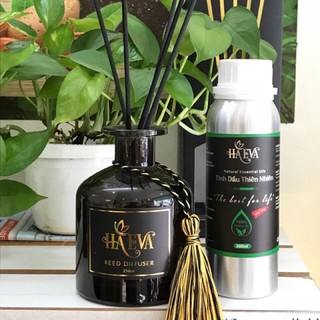 Bình khuếch tán tinh dầu HaEva