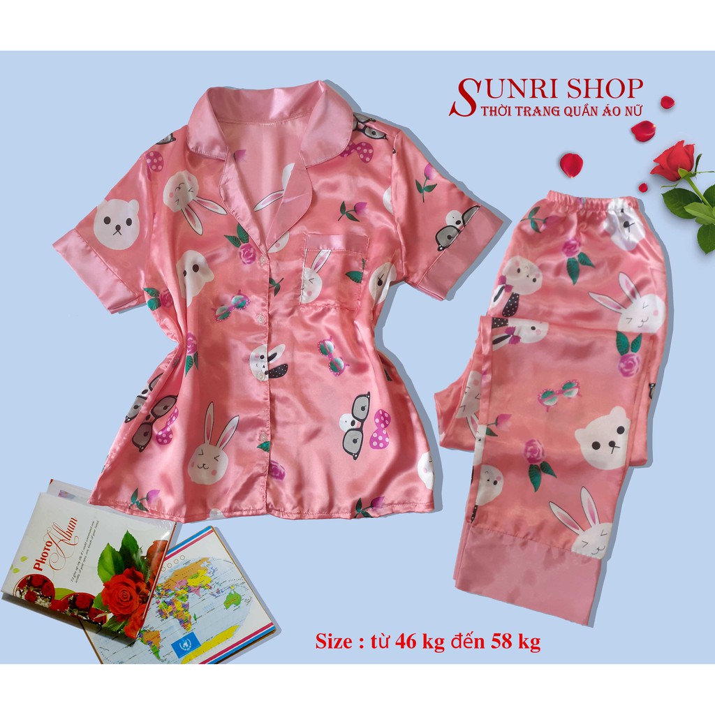 Đồ Bộ Mặc Nhà Nữ - Pijama Dài Chất Phi Bóng Sunri Shop Size 46 - 65 Kg