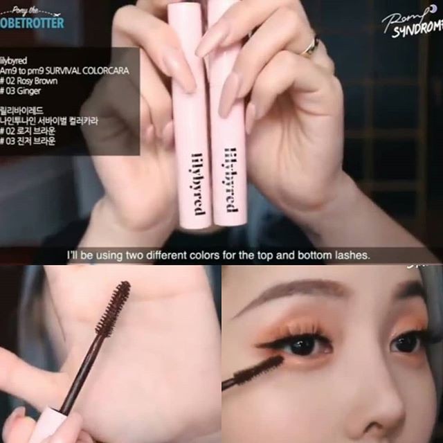 MASCARA CHỐNG TRÔI LILYBYRED MASCARA am9 to pm9 SURVIVAL COLORCARA