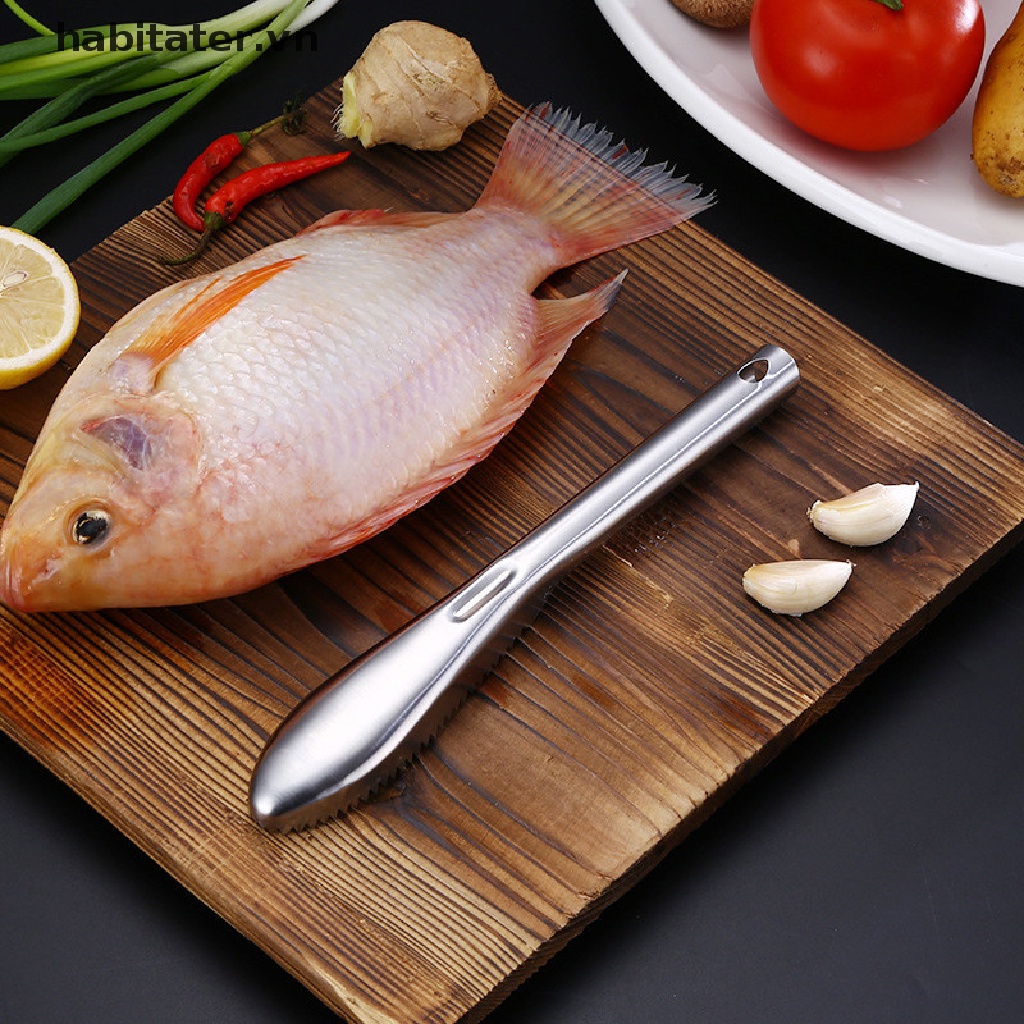 Tater Dụng Cụ Làm Sạch Vảy Cá Nhanh Chóng Tiện Lợi