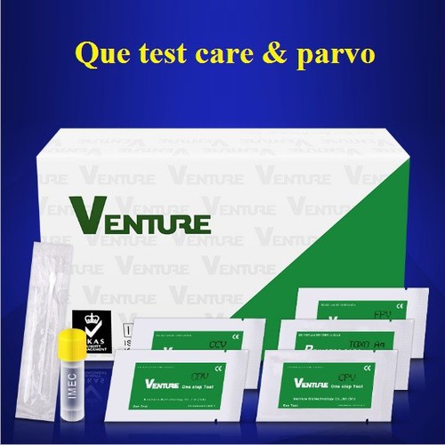 Que test parvo và care cho chó mèo.