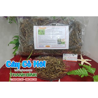 Cây Cứt Lợn Hoa Tím 100Gr (Tươi - Khô)