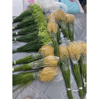 BÔNG LÚA NHÂN TẠO TRANG TRÍ TẾT, PHONG THỦY