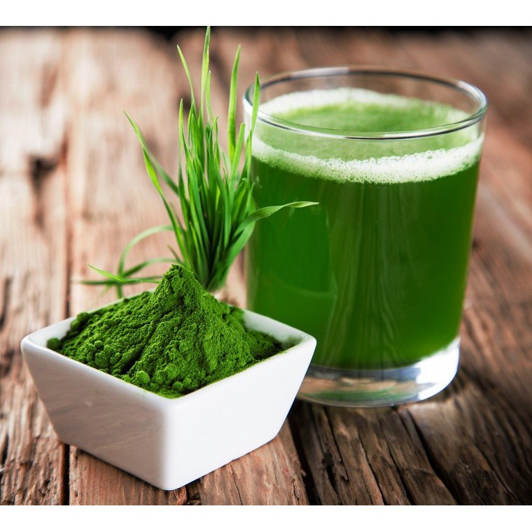 HẠT GIỐNG MẦM LÚA MẠCH - GÓI 100 GRAM