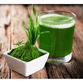 HẠT GIỐNG MẦM LÚA MẠCH - GÓI 100 GRAM