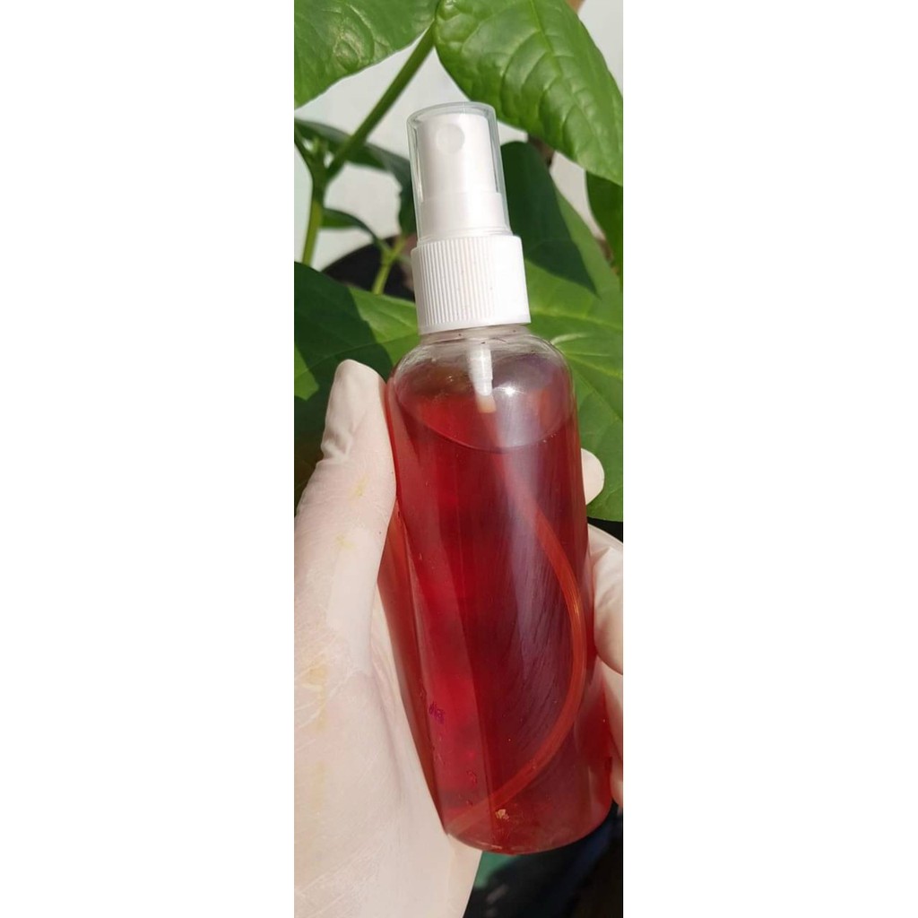 xịt khoáng dưỡng da hoa hồng, ngừa mụn nám, trắng da thiên nhiên tính khiết 100ml