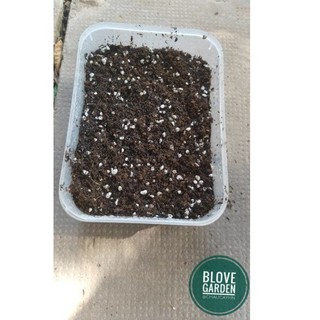 Đất Trồng Sen Đá, Xương Rồng Trộn Sẵn loại 1 kg/túi.