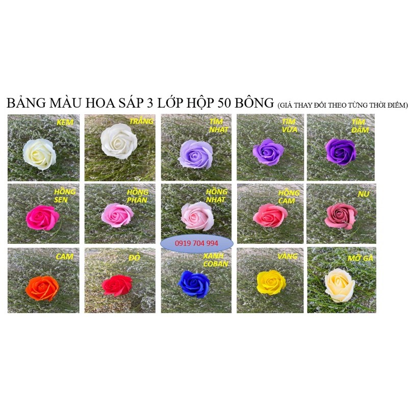 Hoa hồng sáp hộp 50 bông đẹp | BigBuy360 - bigbuy360.vn