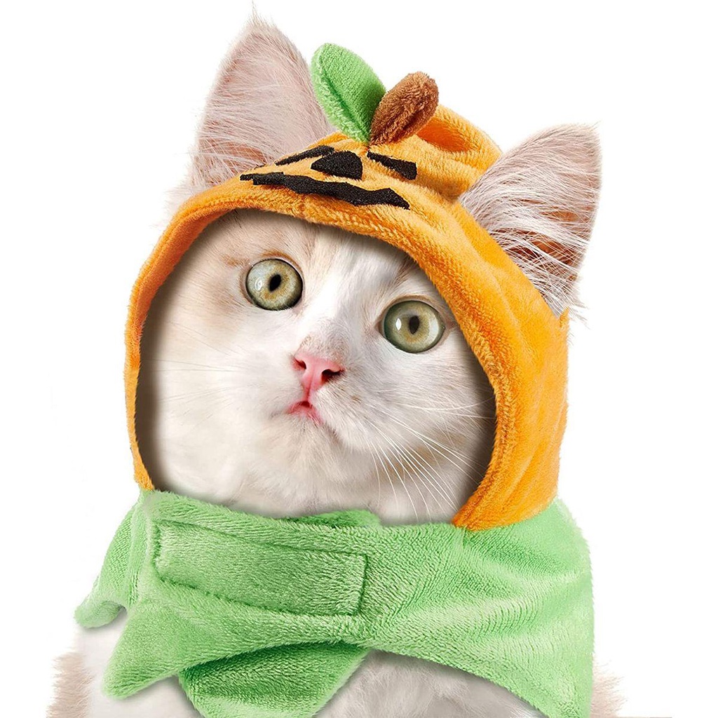 Mũ Đội Đầu Hình Mèo NORMAN Mềm Mại Dễ Thương Vui Nhộn Có Thể Điều Chỉnh Dành Cho Mèo Cưng