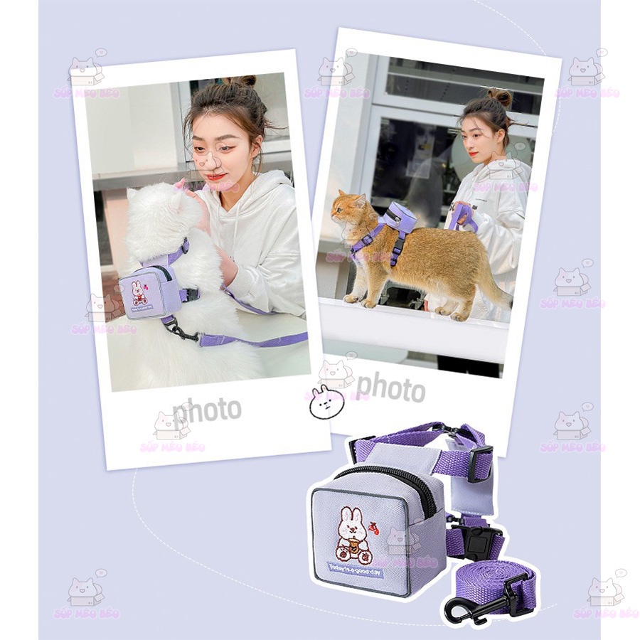 Balo kèm dây dắt cho Mèo mang đi chơi đựng bánh và súp thưởng xinh xắn