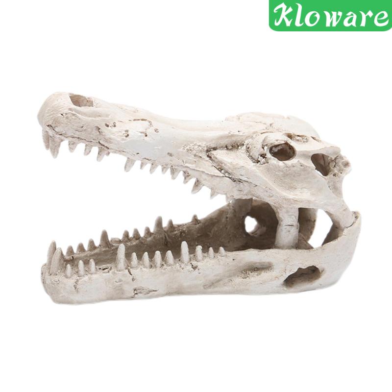 Tượng Cá Sấu Trốn Tìm Trong Bể Nuôi Bò Sát