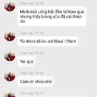 Chè vằng rừng (chè vằng sẻ) NGHỆ AN