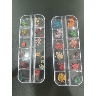 set hoa khô trang trí
