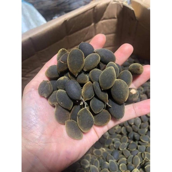 Say Nhung Rừng  quả to bột nhiều, ít hư