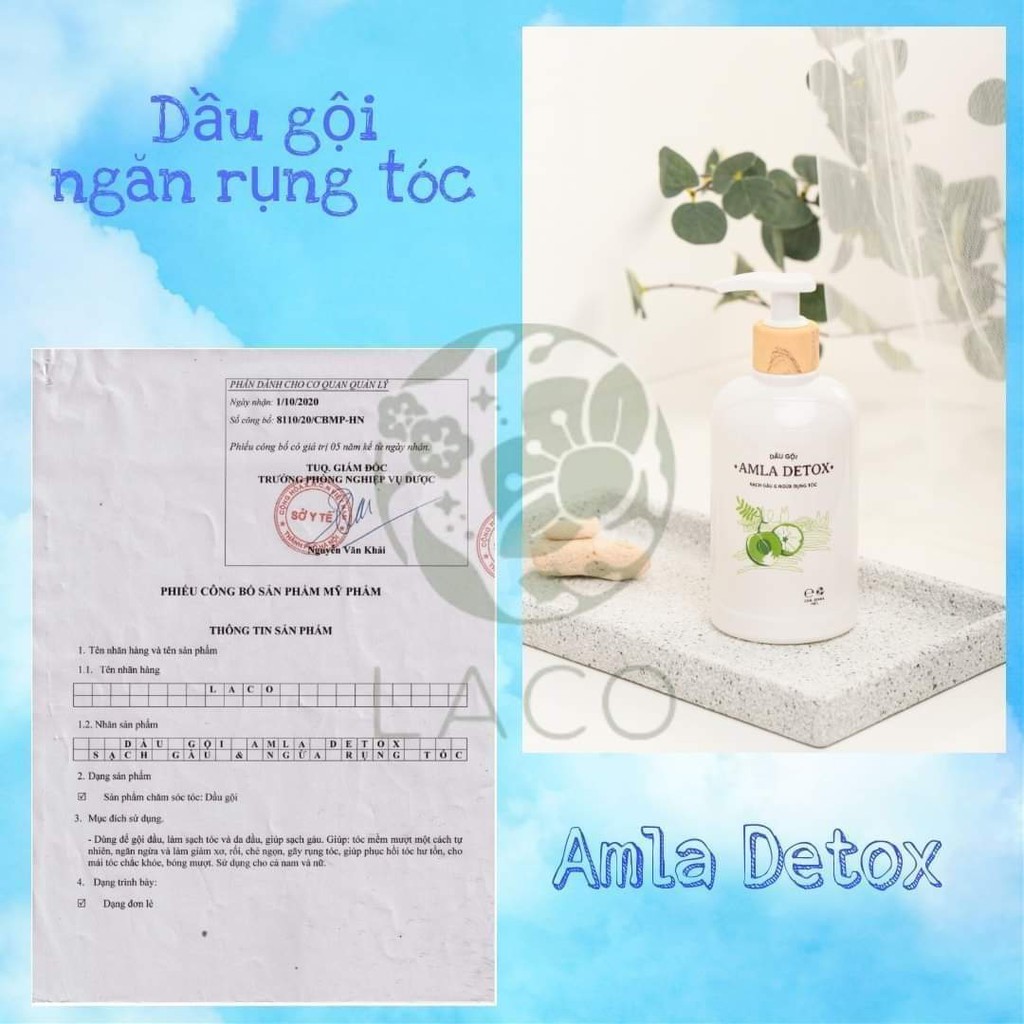 Dầu Gội Xả Sạch Gàu, Ngăn Rụng Tóc, Dưỡng Tóc Organic Amla Detox