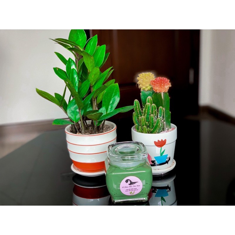 Ủ phục hồi tóc tảo biển | BigBuy360 - bigbuy360.vn